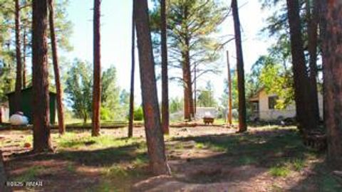Photo of 2525 Gold Dust Trail, Show Low, AZ 85901 (MLS # 258225)