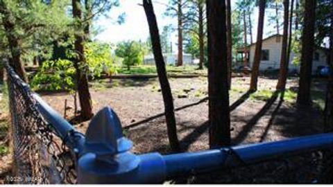 Tiny photo for 2525 Gold Dust Trail, Show Low, AZ 85901 (MLS # 258225)