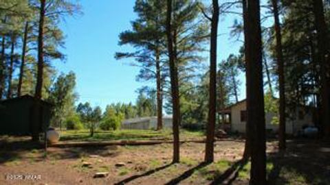 Tiny photo for 2525 Gold Dust Trail, Show Low, AZ 85901 (MLS # 258225)