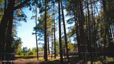 Tiny photo for 2525 Gold Dust Trail, Show Low, AZ 85901 (MLS # 258225)