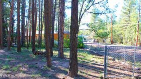 Tiny photo for 2525 Gold Dust Trail, Show Low, AZ 85901 (MLS # 258225)