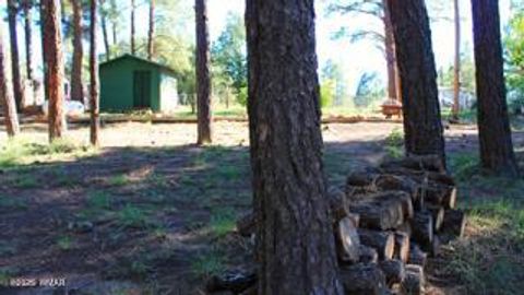 Tiny photo for 2525 Gold Dust Trail, Show Low, AZ 85901 (MLS # 258225)