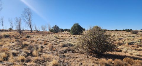 Tiny photo for 1251 Harvest Circle, Taylor, AZ 85939 (MLS # 255318)