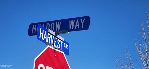 Tiny photo for 1251 Harvest Circle, Taylor, AZ 85939 (MLS # 255318)