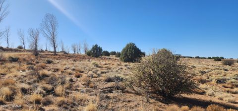 Tiny photo for 1251 Harvest Circle, Taylor, AZ 85939 (MLS # 255318)