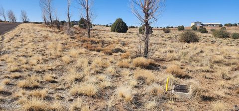 Tiny photo for 1251 Harvest Circle, Taylor, AZ 85939 (MLS # 255318)