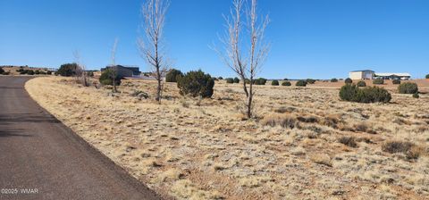 Tiny photo for 1251 Harvest Circle, Taylor, AZ 85939 (MLS # 255318)