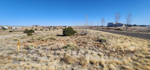 Tiny photo for 1251 Harvest Circle, Taylor, AZ 85939 (MLS # 255318)