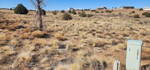 Tiny photo for 1251 Harvest Circle, Taylor, AZ 85939 (MLS # 255318)