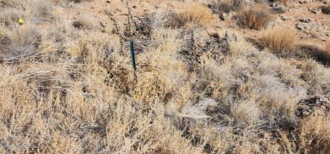 Tiny photo for 1251 Harvest Circle, Taylor, AZ 85939 (MLS # 255318)