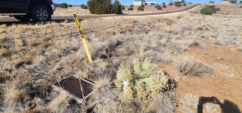 Tiny photo for 1251 Harvest Circle, Taylor, AZ 85939 (MLS # 255318)