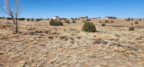 Tiny photo for 1251 Harvest Circle, Taylor, AZ 85939 (MLS # 255318)