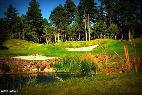 Tiny photo for 669 W Monarch Circle, Lakeside, AZ 85929 (MLS # 258149)