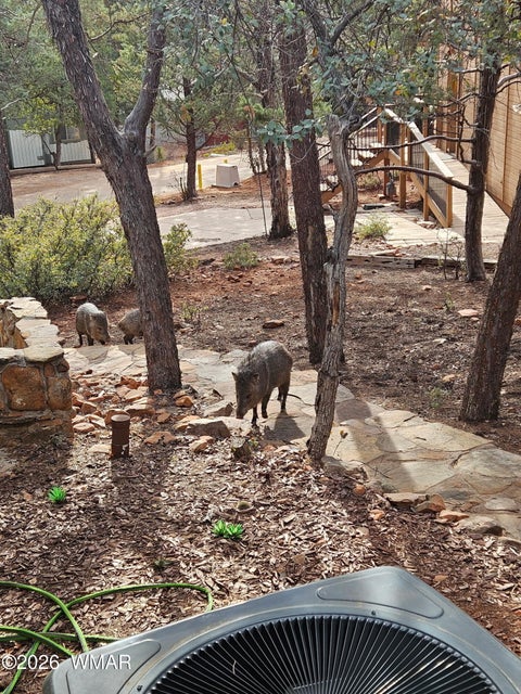 Tiny photo for 4508 N Chalet Drive, Pine, AZ 85544 (MLS # 262659)