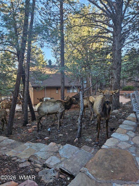 Tiny photo for 4508 N Chalet Drive, Pine, AZ 85544 (MLS # 262659)