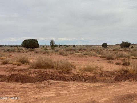 Photo of 5103 Windmill Lane, Snowflake, AZ 85937 (MLS # 255084)