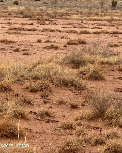 Tiny photo for 5103 Windmill Lane, Snowflake, AZ 85937 (MLS # 255084)