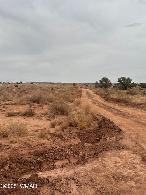 Tiny photo for 5103 Windmill Lane, Snowflake, AZ 85937 (MLS # 255084)