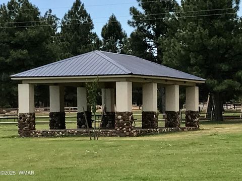 Tiny photo for 2677 Palomino Trail, Overgaard, AZ 85933 (MLS # 259010)