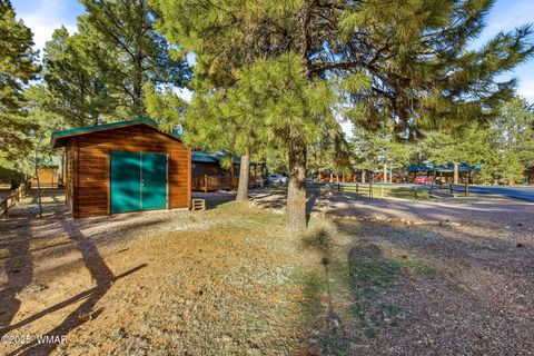 Tiny photo for 2677 Palomino Trail, Overgaard, AZ 85933 (MLS # 259010)