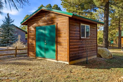 Tiny photo for 2677 Palomino Trail, Overgaard, AZ 85933 (MLS # 259010)