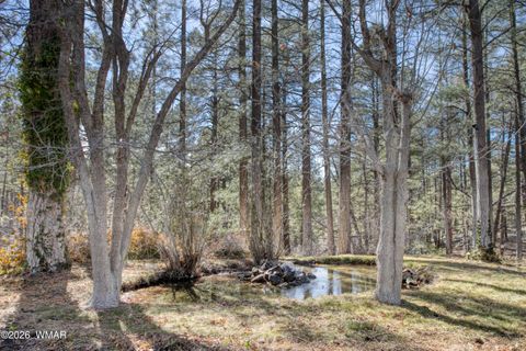 Tiny photo for 4681 W Mogollon Drive, Show Low, AZ 85901 (MLS # 259830)