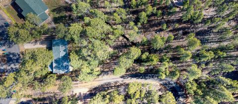 Tiny photo for 4681 W Mogollon Drive, Show Low, AZ 85901 (MLS # 259830)