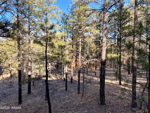 Tiny photo for 1100 S Pinon Circle, Show Low, AZ 85901 (MLS # 259617)