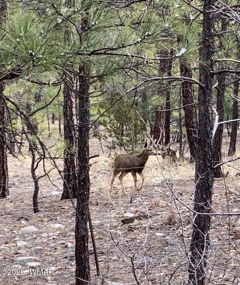 Tiny photo for 1100 S Pinon Circle, Show Low, AZ 85901 (MLS # 259617)