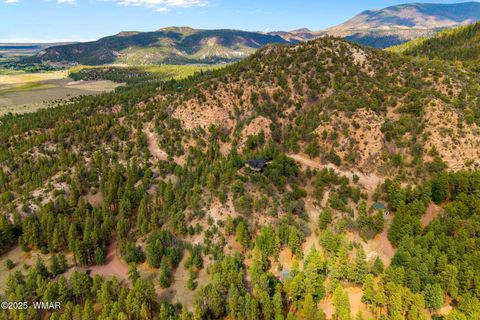 Tiny photo for 2 N2277, Nutrioso, AZ 85932 (MLS # 257615)