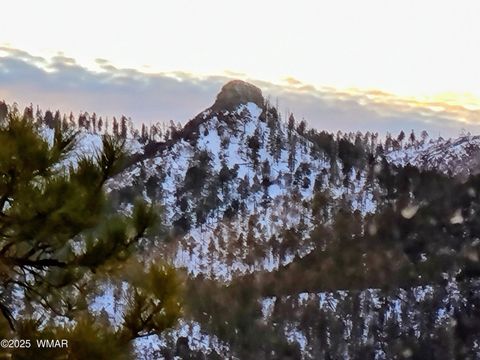 Tiny photo for 2 N2277, Nutrioso, AZ 85932 (MLS # 260089)