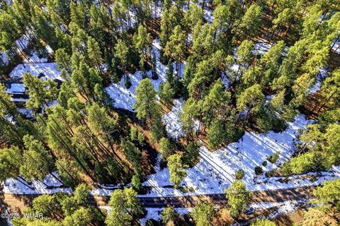 Tiny photo for 32 N1068, Greer, AZ 85927 (MLS # 259461)