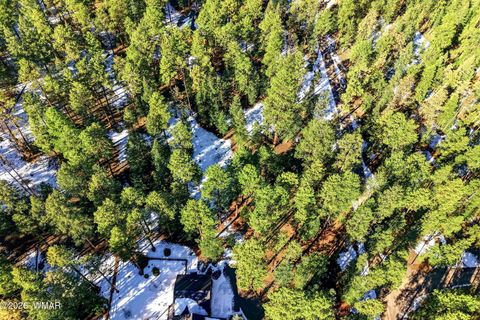 Tiny photo for 32 N1068, Greer, AZ 85927 (MLS # 259461)