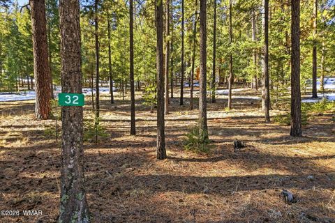 Photo of 32 N1068, Greer, AZ 85927 (MLS # 259461)