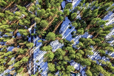 Tiny photo for 32 N1068, Greer, AZ 85927 (MLS # 259461)