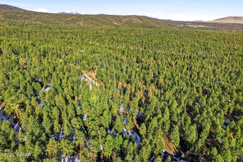 Tiny photo for 32 N1068, Greer, AZ 85927 (MLS # 259461)