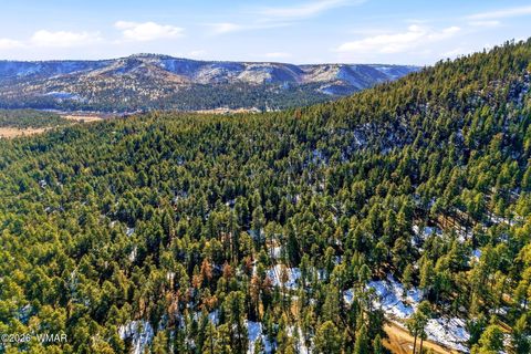 Tiny photo for 32 N1068, Greer, AZ 85927 (MLS # 259461)