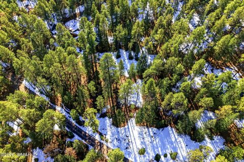 Tiny photo for 32 N1068, Greer, AZ 85927 (MLS # 259461)