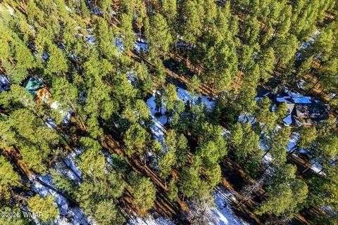 Tiny photo for 32 N1068, Greer, AZ 85927 (MLS # 259461)