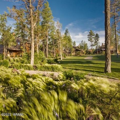 Tiny photo for 2360 Narrow Leaf Lane, Show Low, AZ 85901 (MLS # 259457)