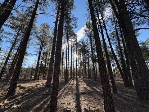 Tiny photo for 2360 Narrow Leaf Lane, Show Low, AZ 85901 (MLS # 259457)