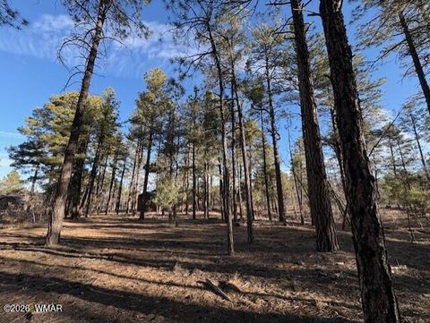 Tiny photo for 2360 Narrow Leaf Lane, Show Low, AZ 85901 (MLS # 259457)