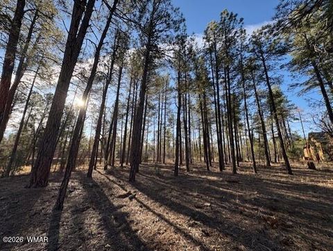 Tiny photo for 2360 Narrow Leaf Lane, Show Low, AZ 85901 (MLS # 259457)
