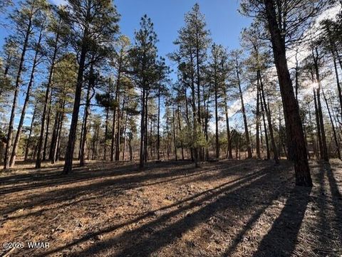 Tiny photo for 2360 Narrow Leaf Lane, Show Low, AZ 85901 (MLS # 259457)