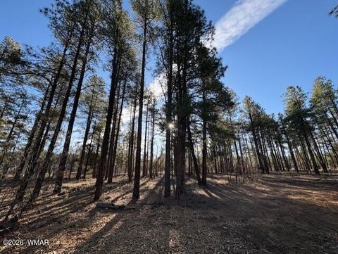 Tiny photo for 2360 Narrow Leaf Lane, Show Low, AZ 85901 (MLS # 259457)