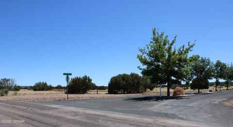 Tiny photo for 7668 Arroyo Plata Drive, Show Low, AZ 85901 (MLS # 241555)