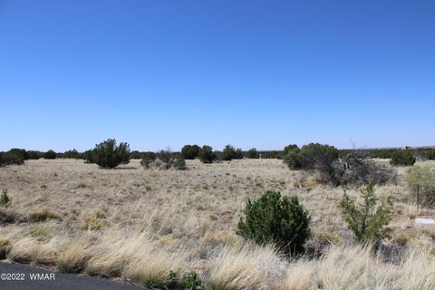 Tiny photo for 7668 Arroyo Plata Drive, Show Low, AZ 85901 (MLS # 241555)