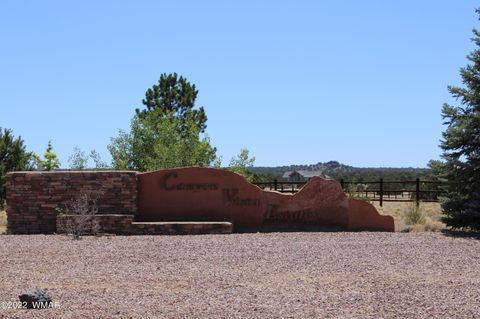 Tiny photo for 7668 Arroyo Plata Drive, Show Low, AZ 85901 (MLS # 241555)