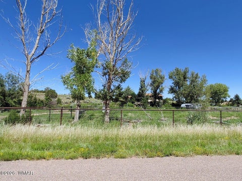 Tiny photo for 5292 W Cottonwood Drive, Taylor, AZ 85939 (MLS # 262975)