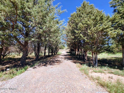 Tiny photo for 5292 W Cottonwood Drive, Taylor, AZ 85939 (MLS # 262975)